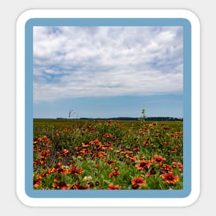 Beach Wildflowers Sticker